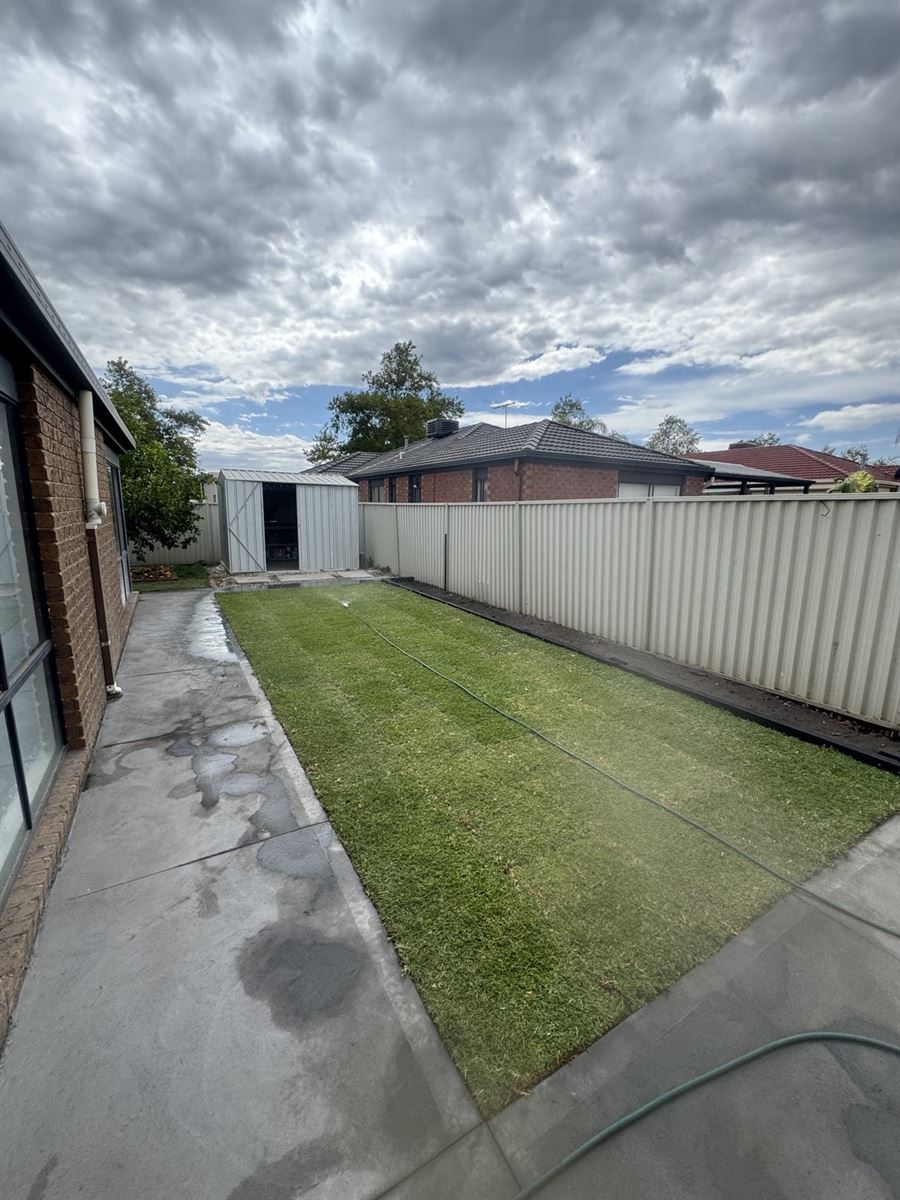 Freshly laid turf lawn with new concrete path and garden shed, built by Sunnybank Horticultural